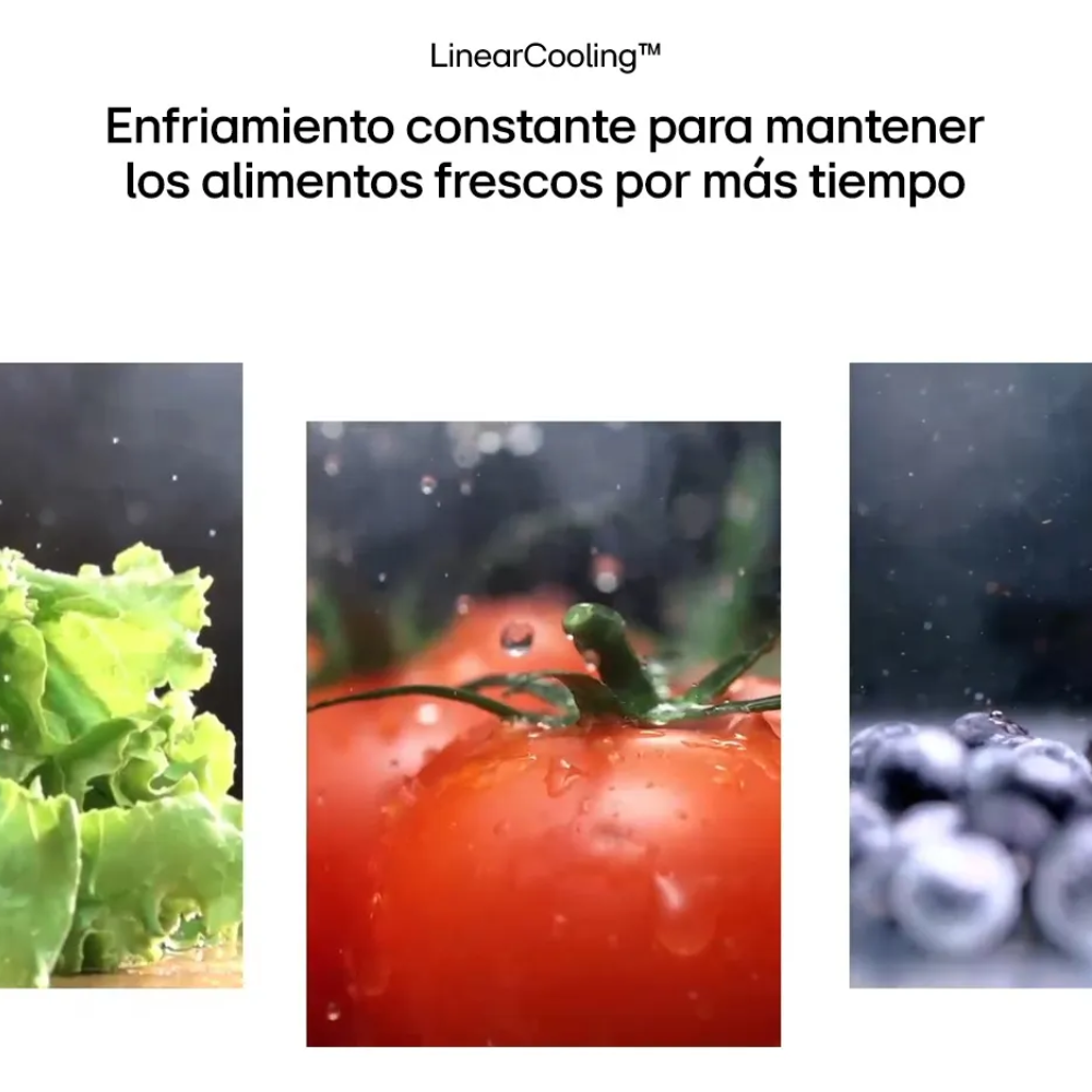 Heladera LG VT40MPY 395 Lts Inverter Freezer superior No frost  Silver