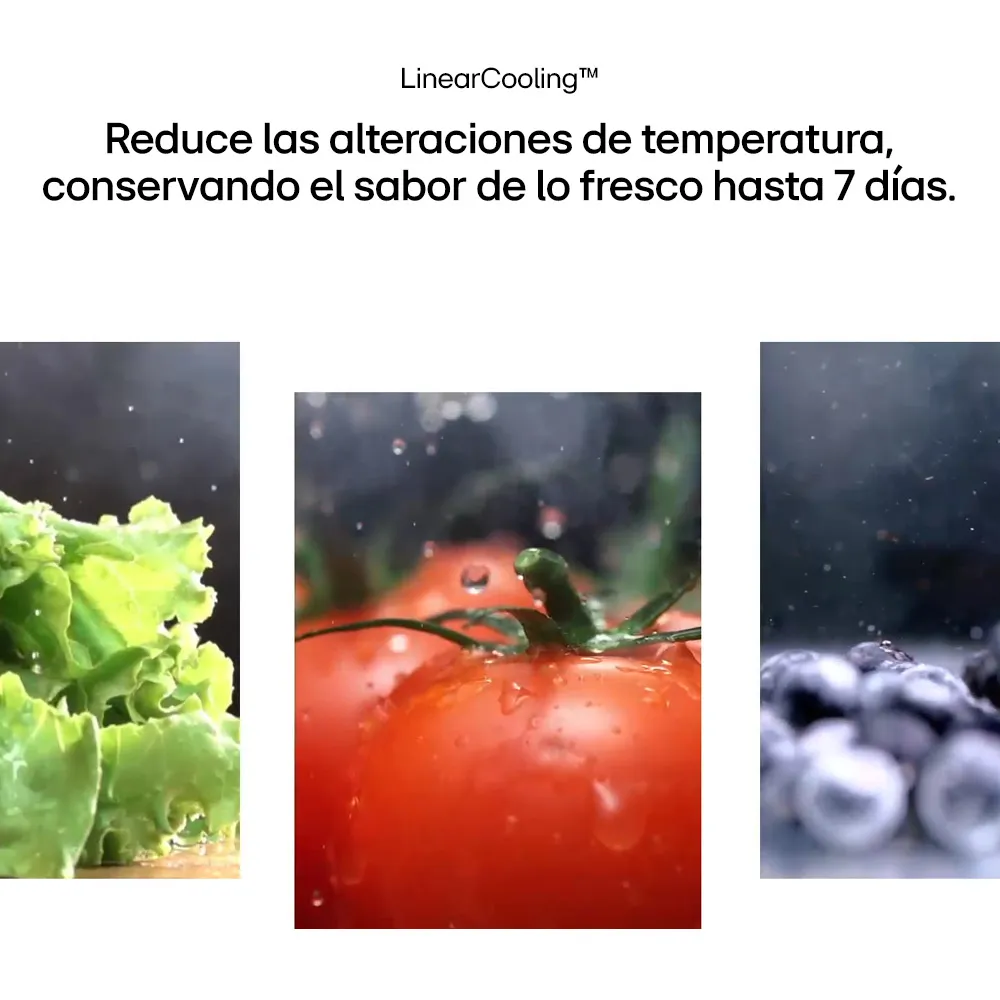 Heladera Doble Puerta LG GS66MPPT 658 Lts INVERTER  WiFi Silver