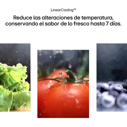 Heladera Doble Puerta LG GS66MPPT 658 Lts INVERTER  WiFi Silver